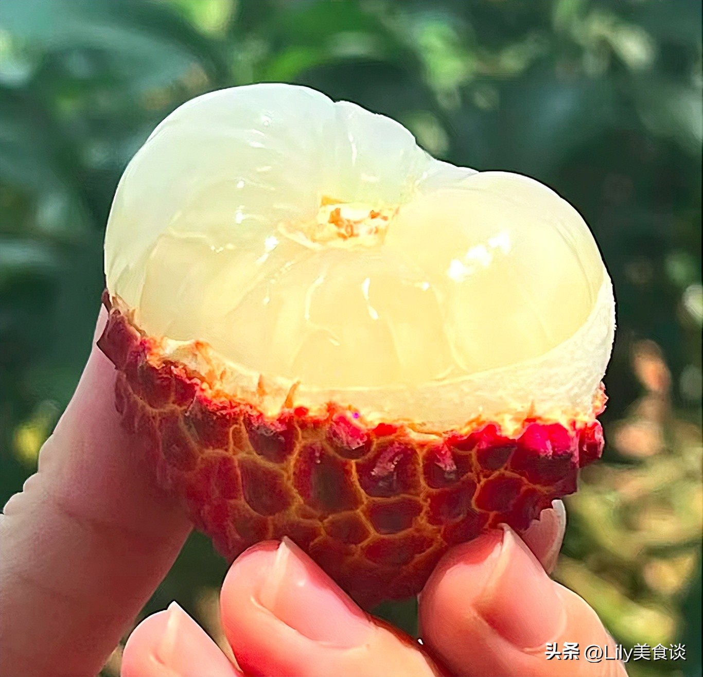 6月，有钱没钱，5种碱性果记得多吃，水分足口感好，应季食受益多