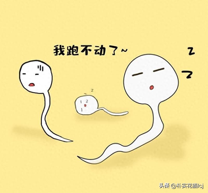 精子受孕未成功后去哪了,没有成功受孕的精子都去哪里了