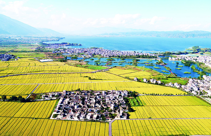 云南到底有多让人向往,云南到底有什么值得人们向往的