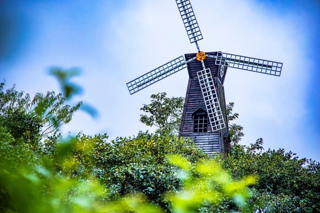 万里茶道第一镇铅山休闲一日游,铅山县万里茶道世界遗产