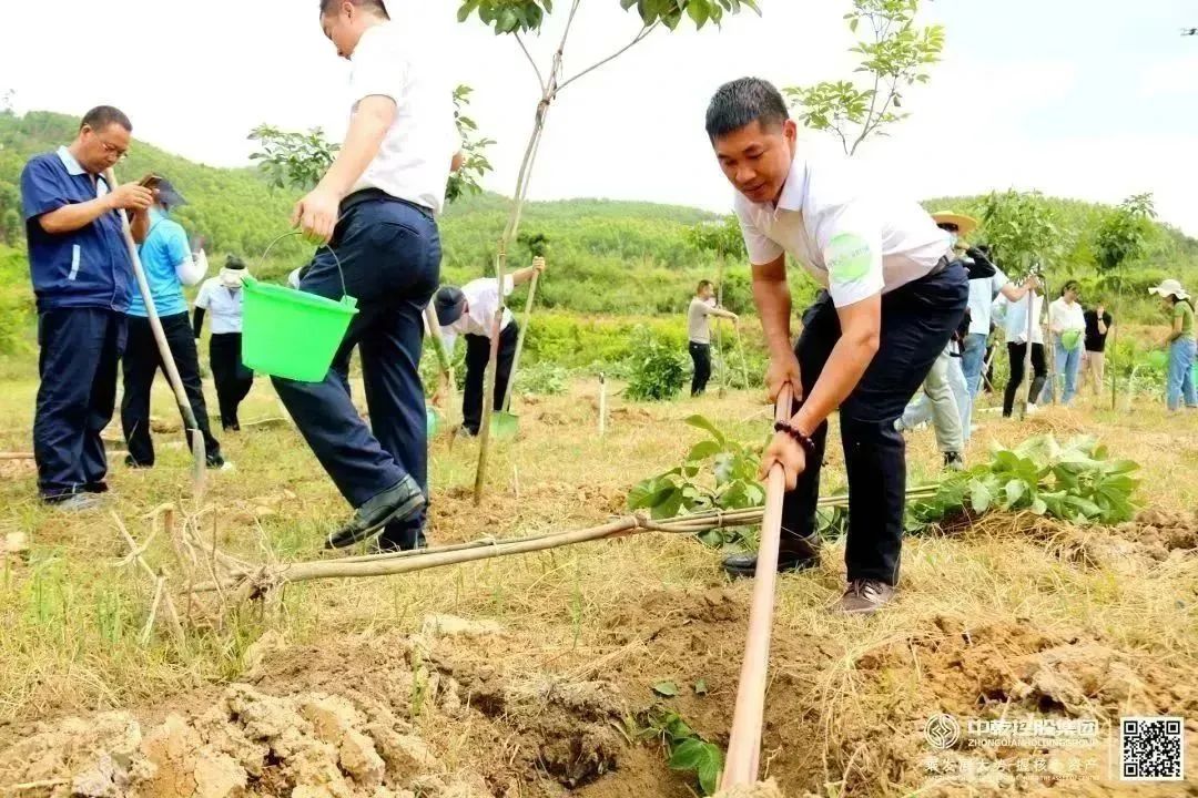 中乾控股集团积极助力绿美广东建设同植企业长青林