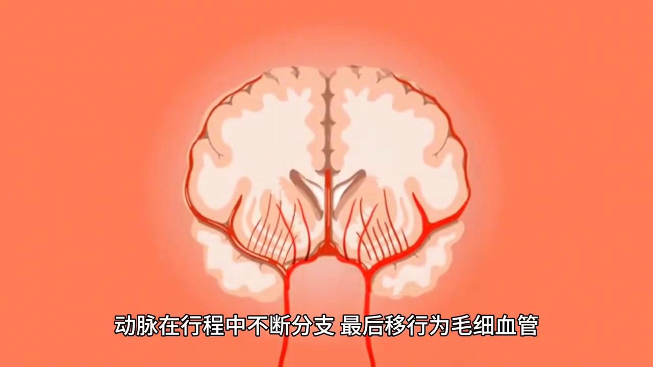 动脉硬化的原因及解决办法,动脉粥样硬化