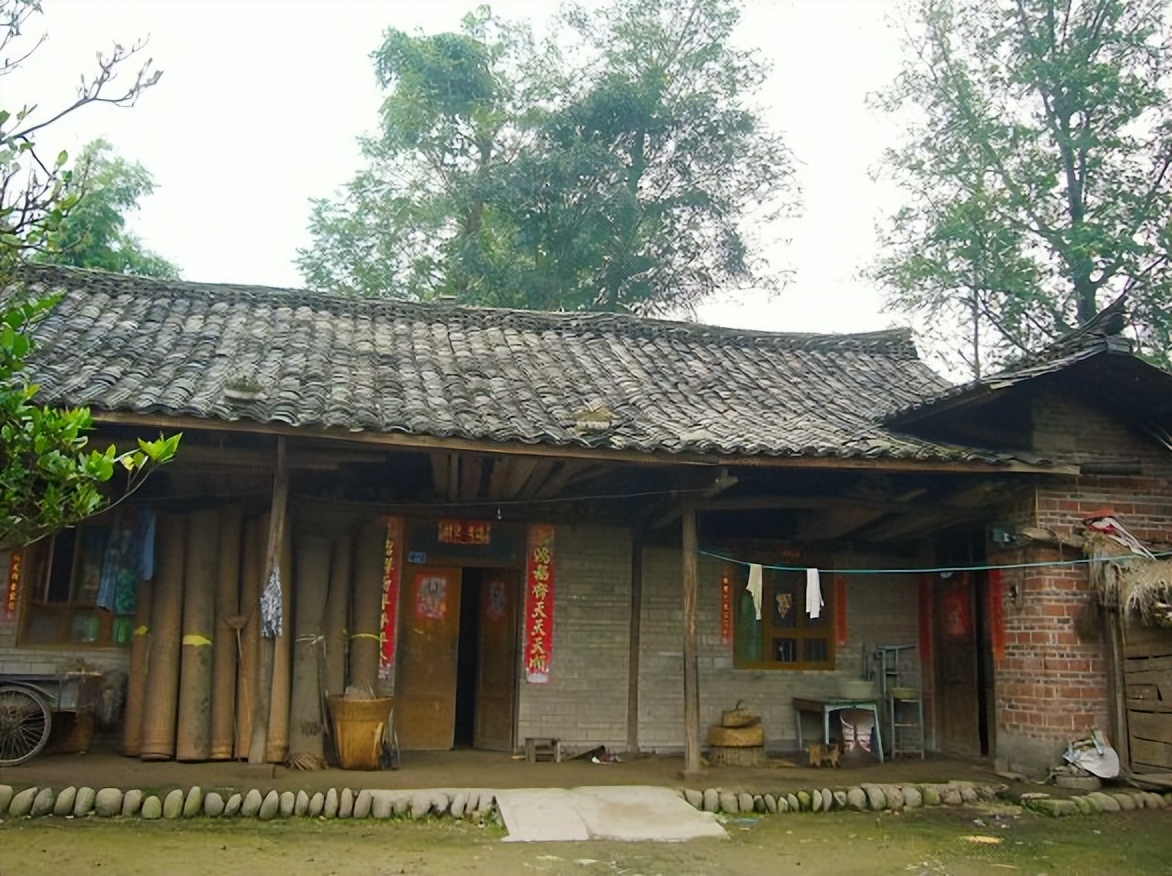 老汉捡到流浪女孩 (光棍汉捡到流浪女后续)