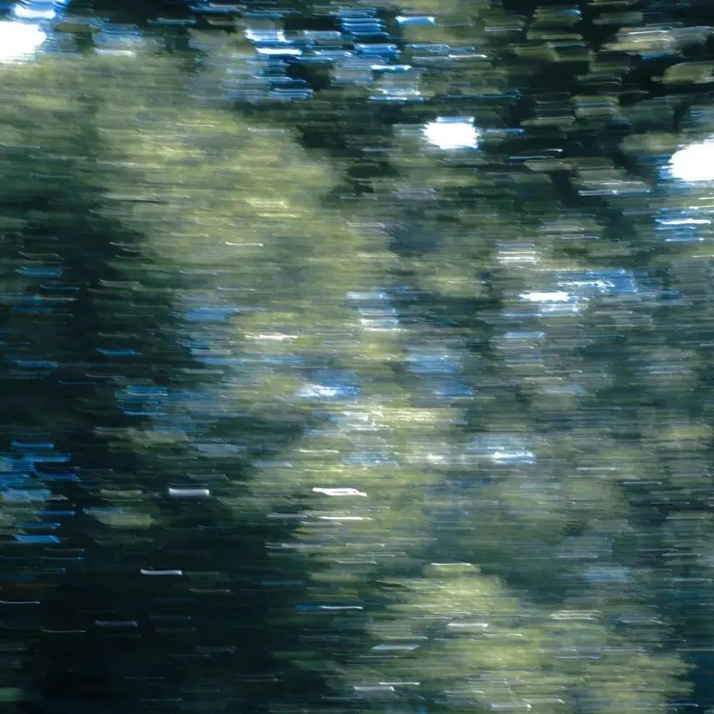 朋友圈背景送给大家,朋友圈背景送你一朵花