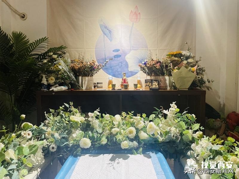 宠物市场监管问题,宠物身后事