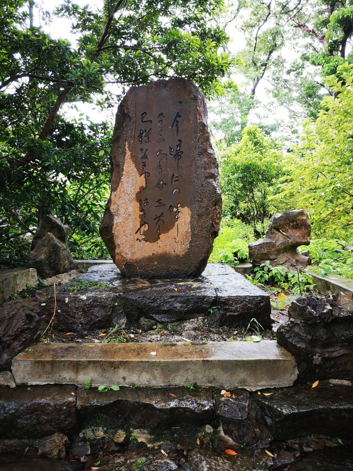 暑期档2019年,2019年暑期档