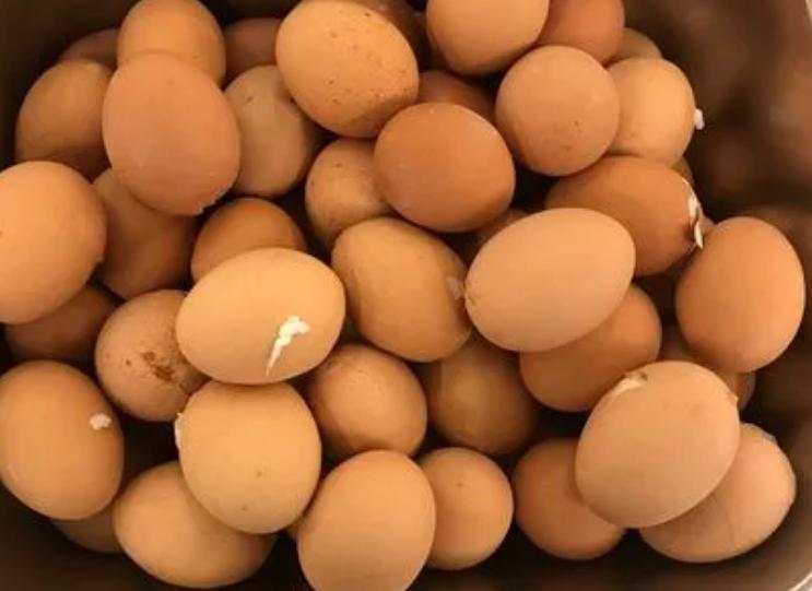 每天早晨一个水煮鸡蛋对肝的好处,每天早上吃2个鸡蛋对肝有损害吗