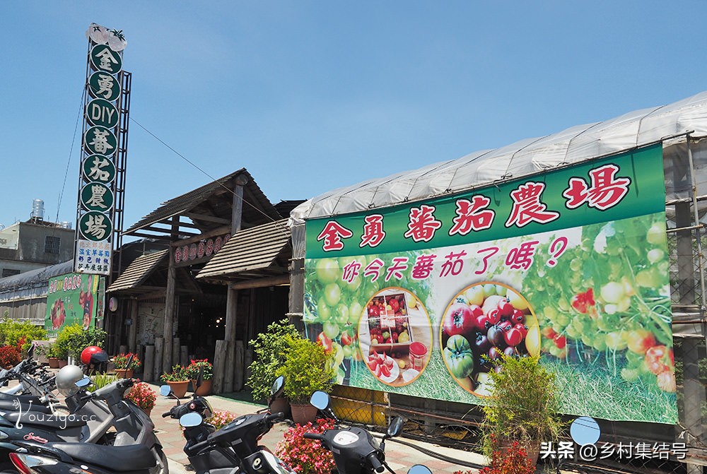 台湾番茄农场,低成本打造高颜值农场