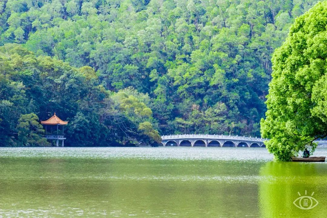 十大风景最美的湖泊排行榜,深圳风景美丽的湖泊