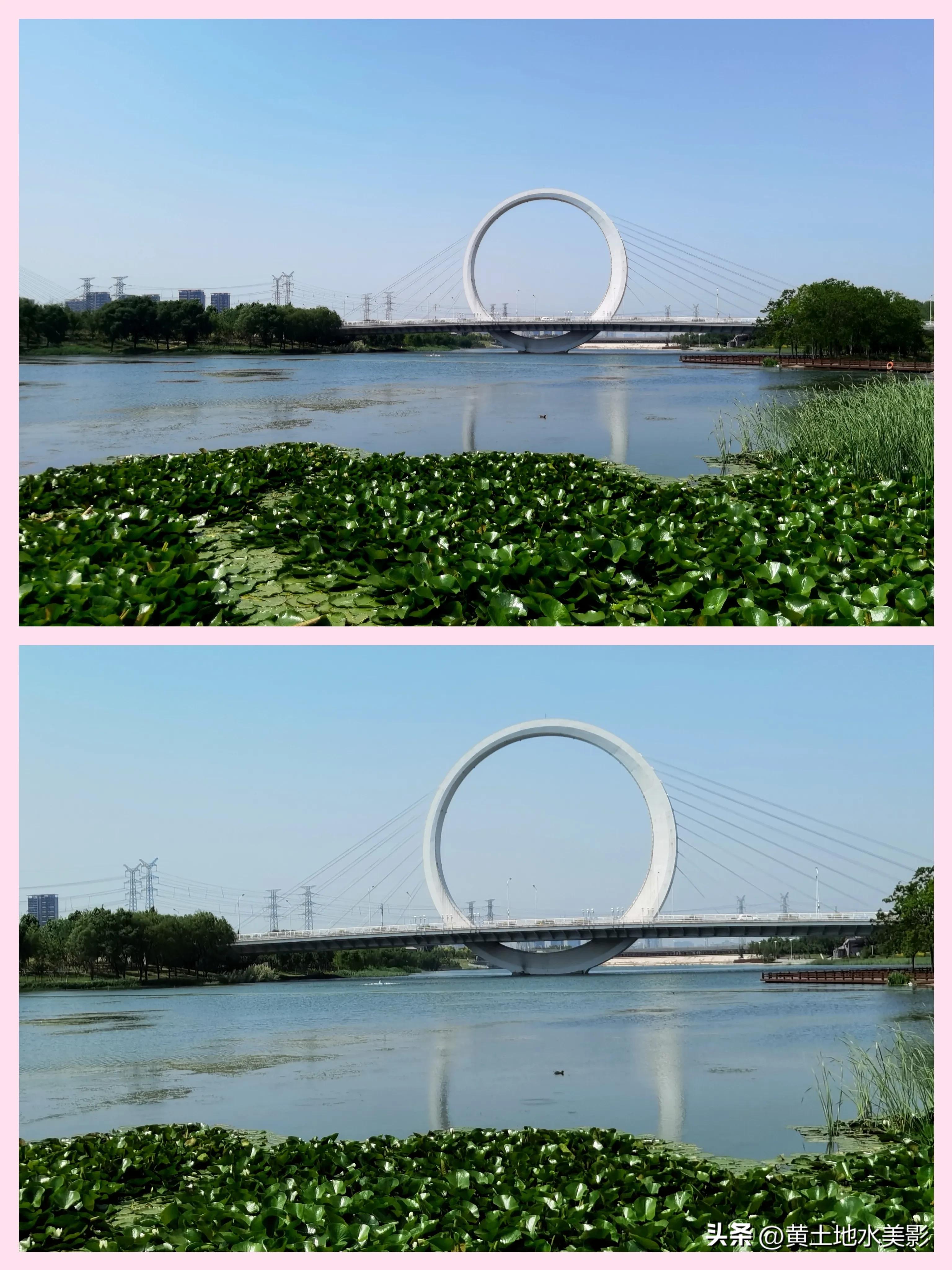 在郑州绕着蝶湖看风光，一枚大戒指吸睛八方客，它究竟有多美？