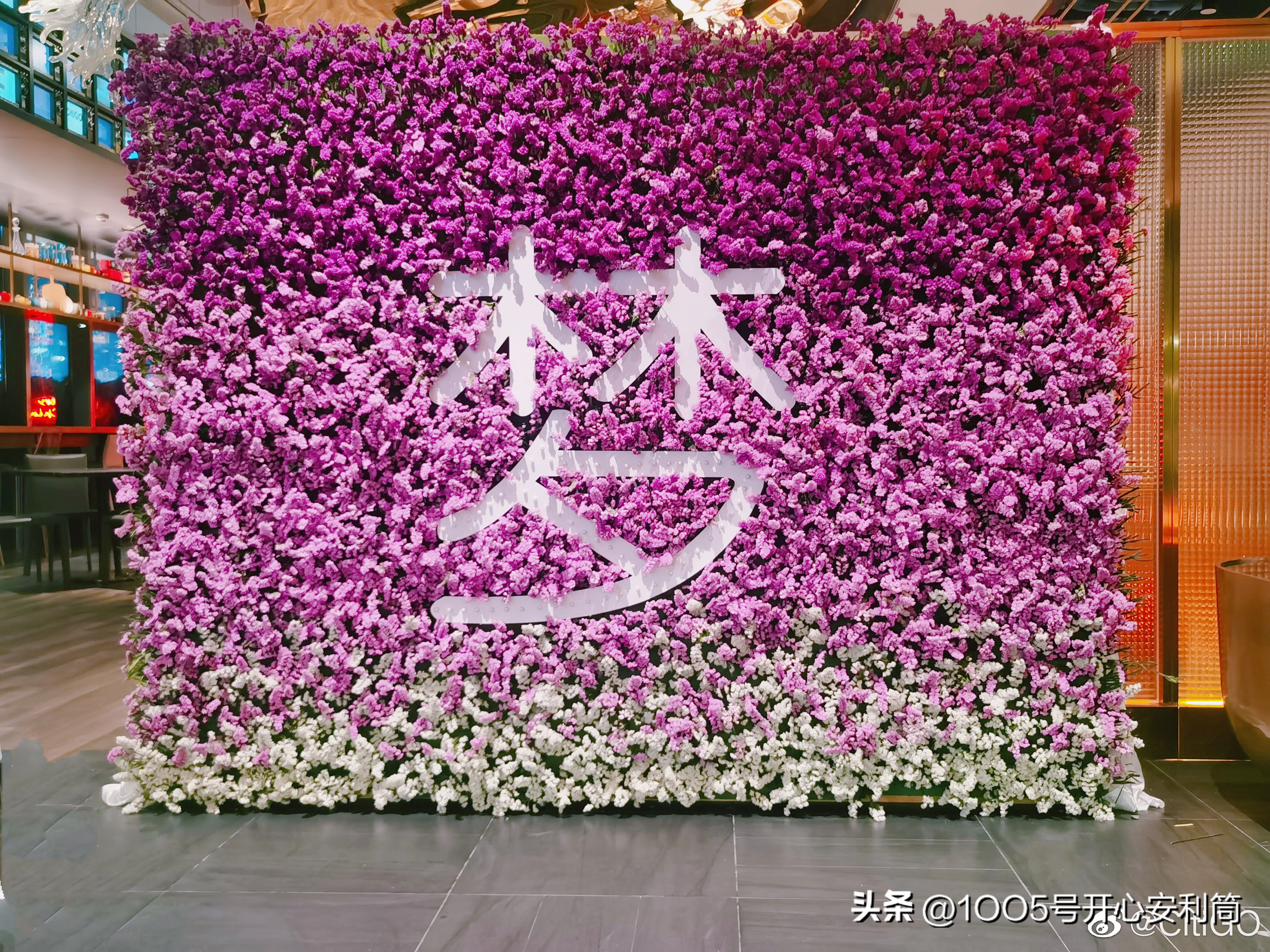 gucci肖战联名,gucci肖战花墙