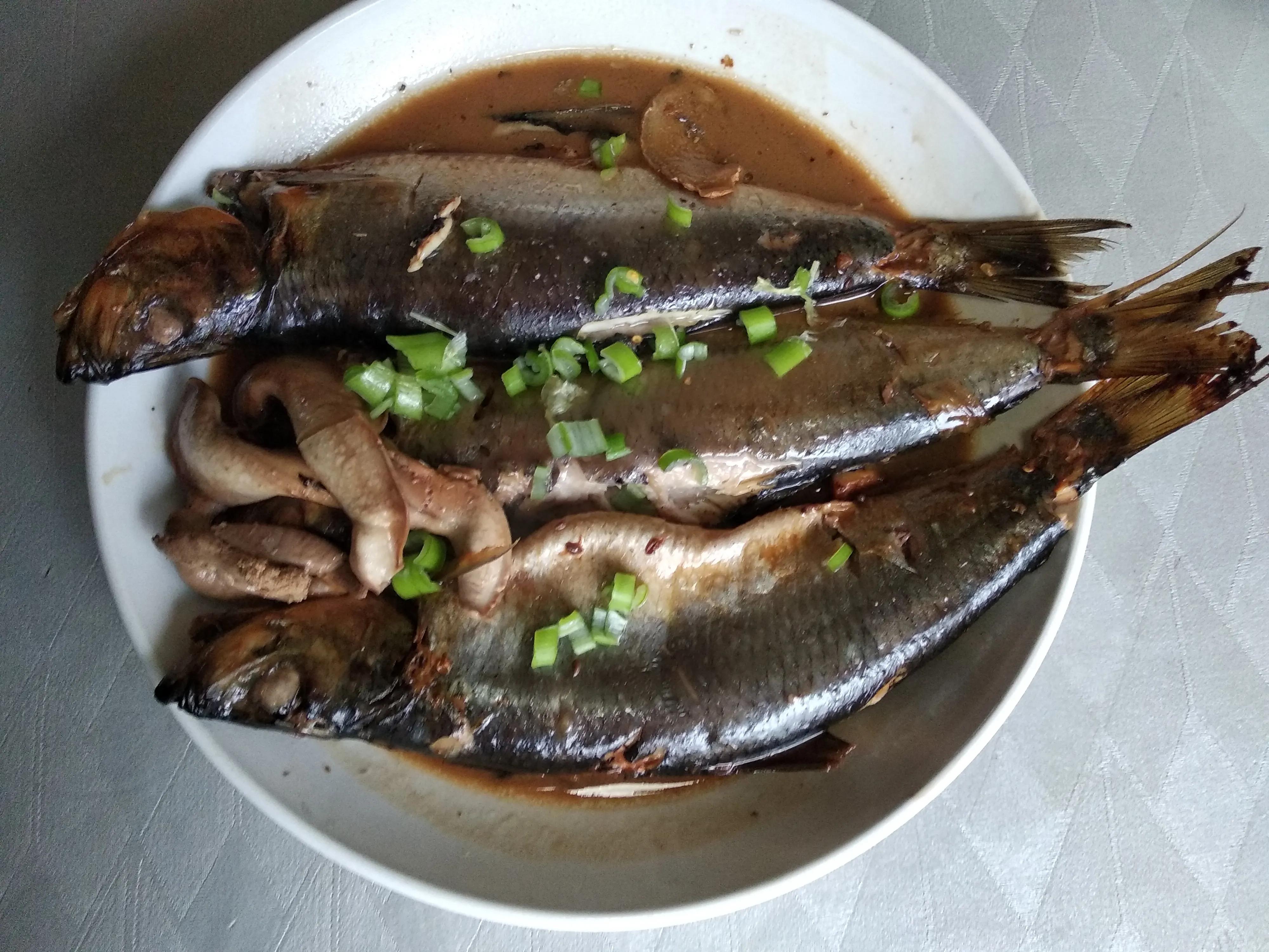 15种常见的海鱼,100种常见食用海鱼图谱