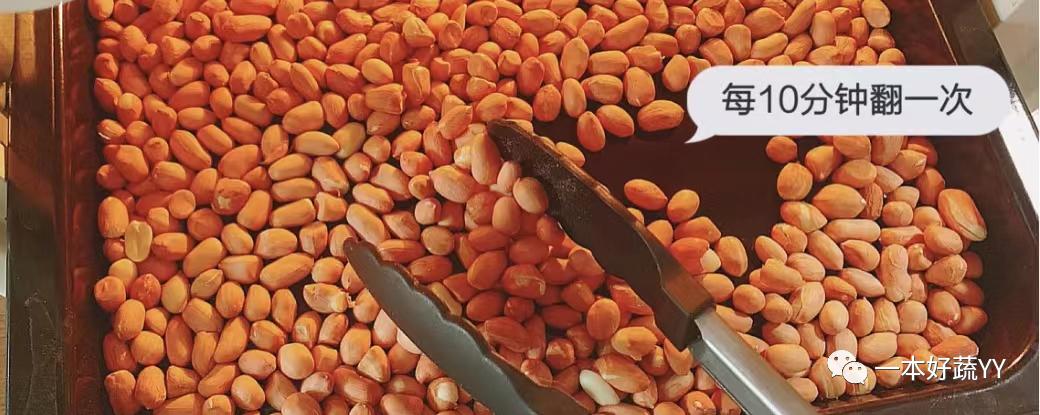 无糖无盐花生酱升糖,自制花生酱吃得放心健康