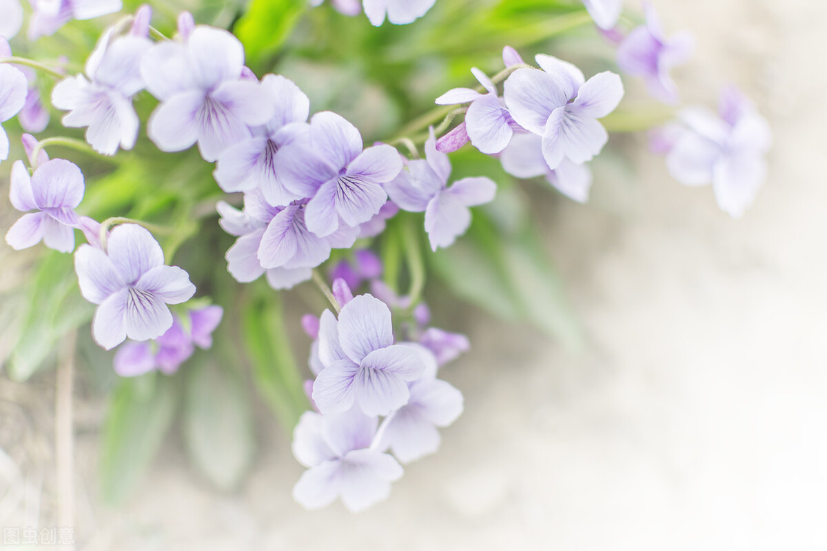 我是人间惆怅客知君何事泪纵横,我是人间惆怅客问君何时泪纵横