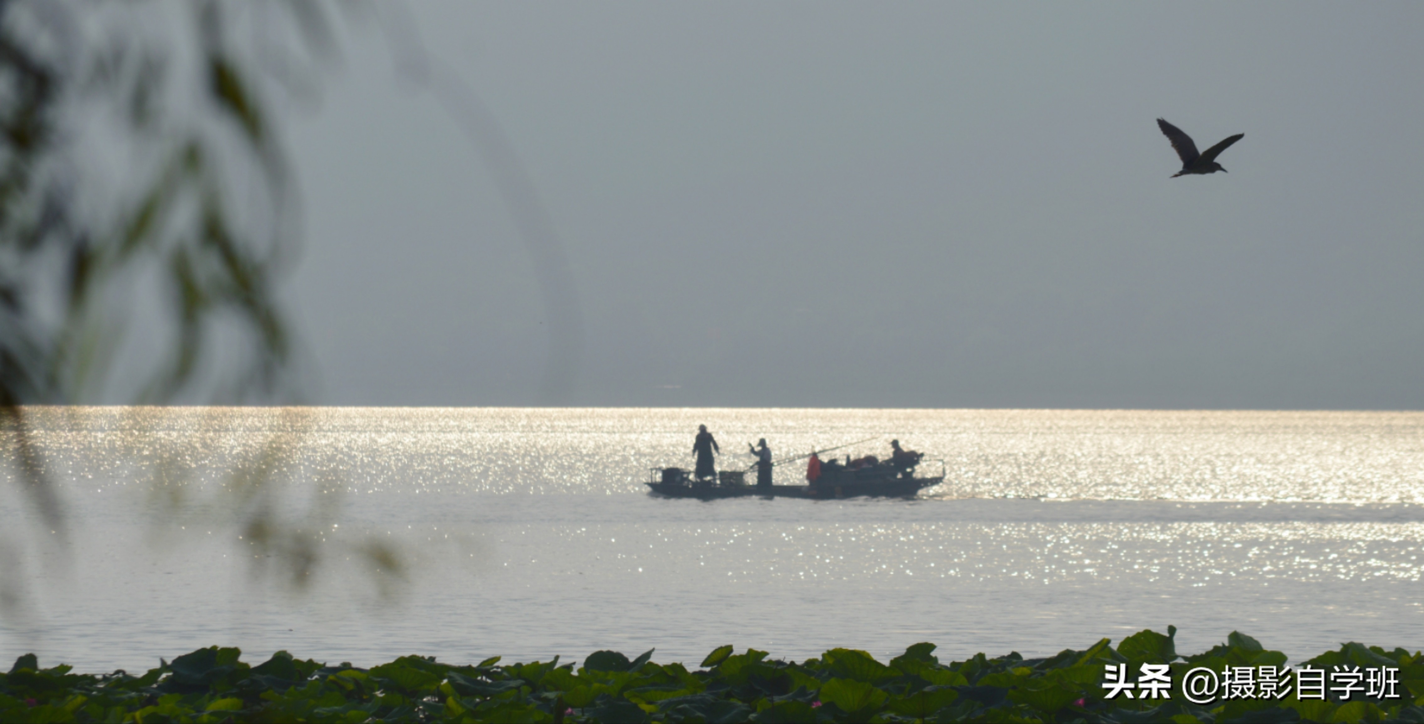 第二十一届摄影作品征稿,摄友投稿图片