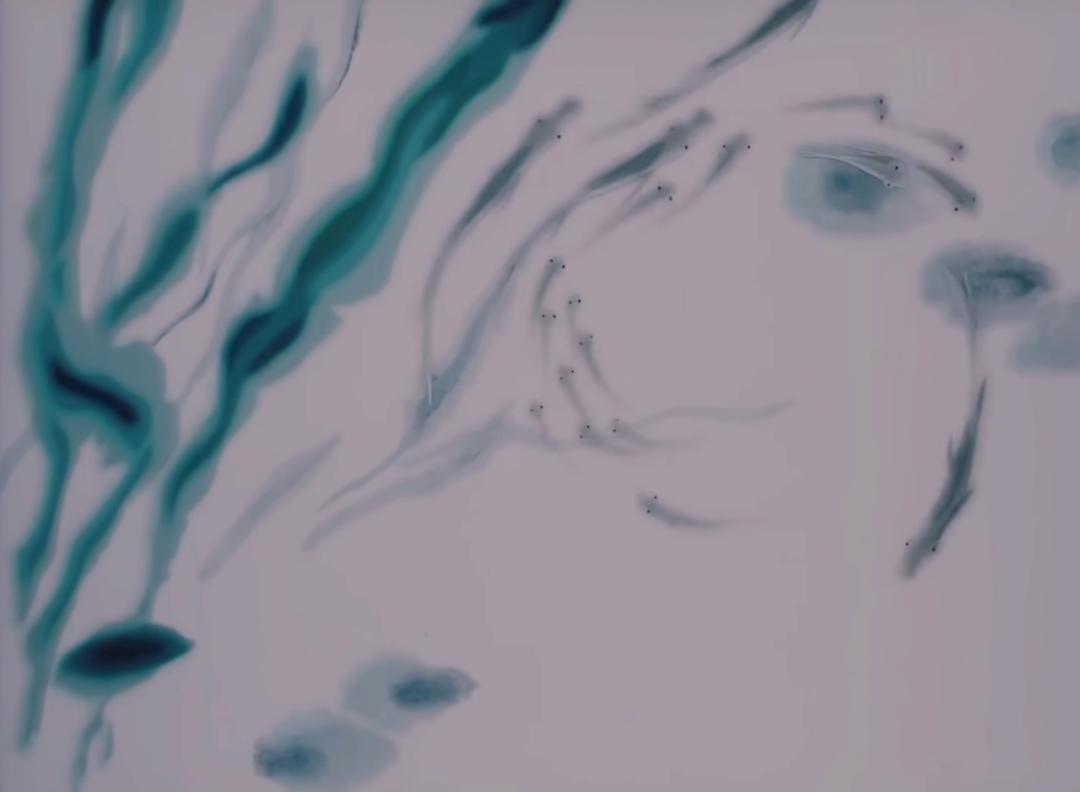 说起熊猫动画片，不会只想到功夫熊猫吧？