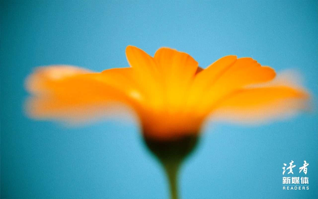 你随礼的样子暴露了你的层次,你随礼的样子暴露你的层次