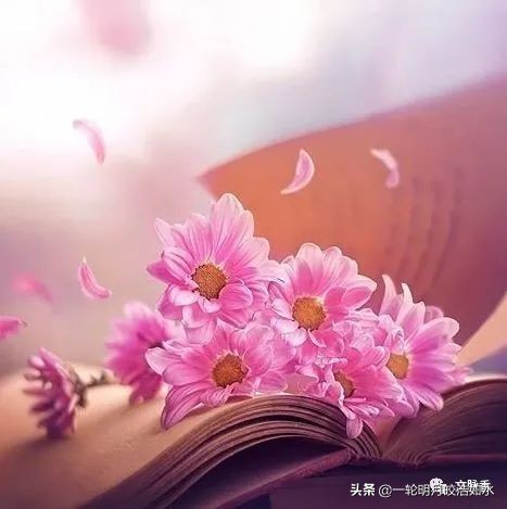 100句经典名言最好的写作素材,100句经典名言俞敏洪