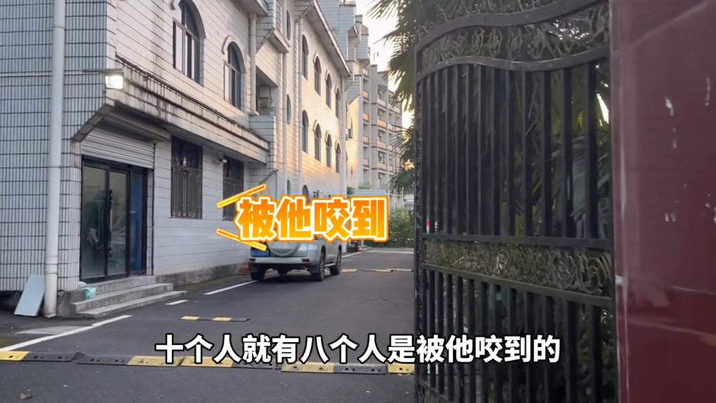 短尾蝮蛇咬伤致死率高吗,短尾蝮蛇咬伤后症状