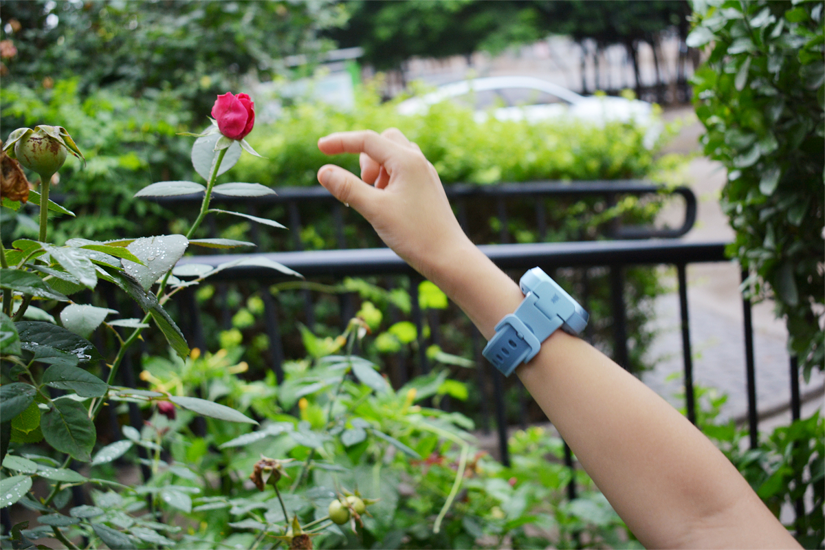 小米米兔儿童手表6pro有什么功能,小米米兔儿童手表是全网通吗