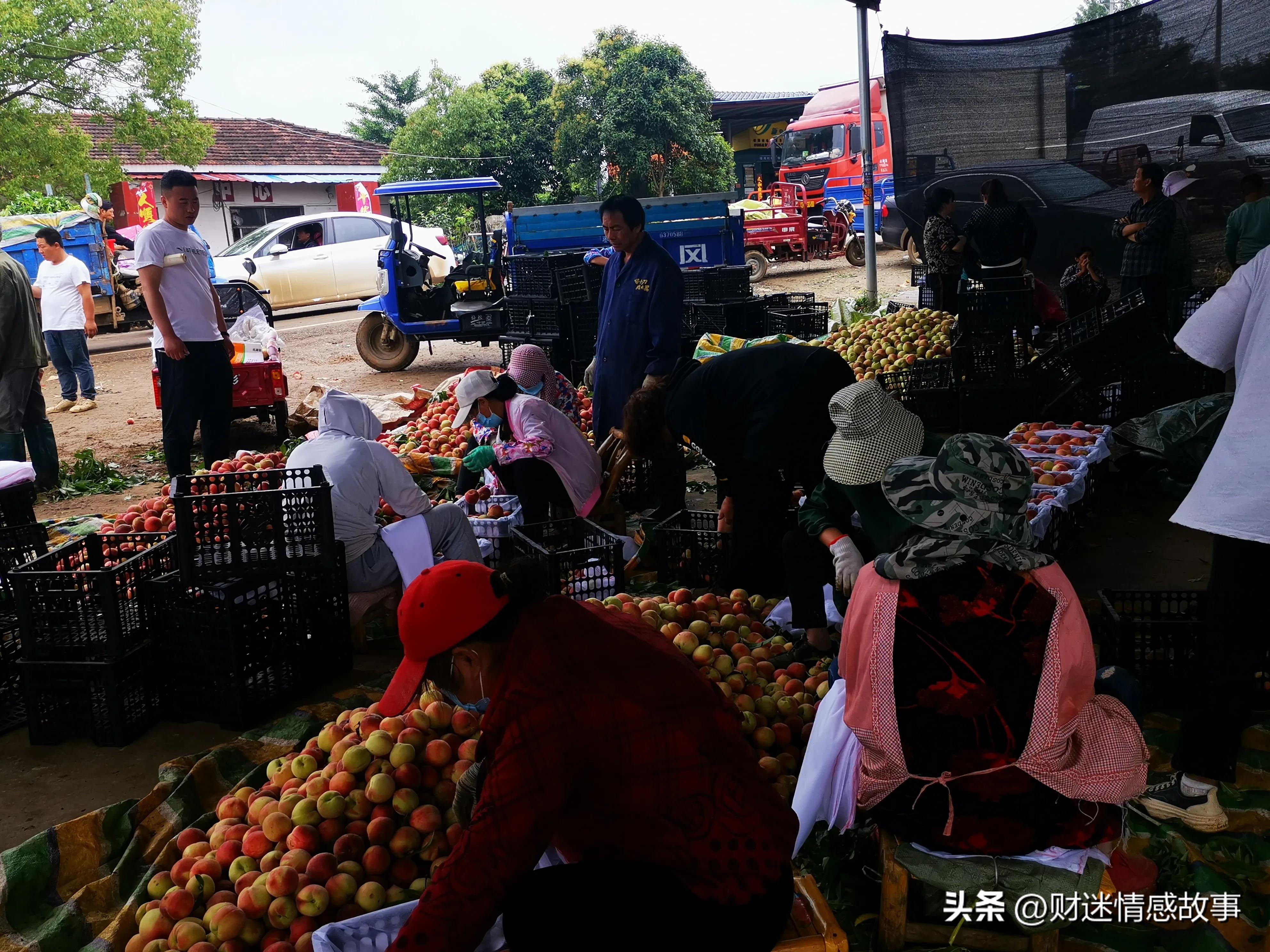 0投资快速赚钱方法大全,零投资如何赚钱最快的方法