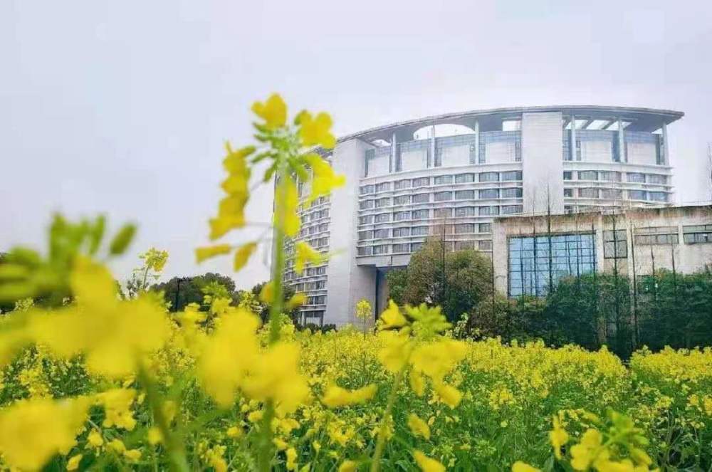 浙江工商大学下沙校区在哪个区,浙江工商大学属于哪个区