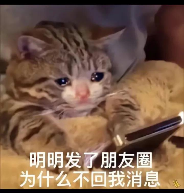 搞笑图片笑得肚子疼大全,搞笑图片