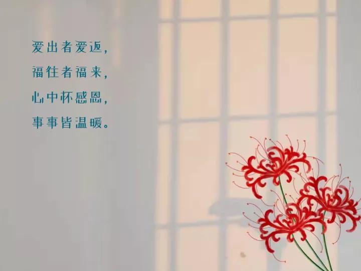 感恩节感恩同事和公司暖心文案,感恩节文案祝福语大全100句