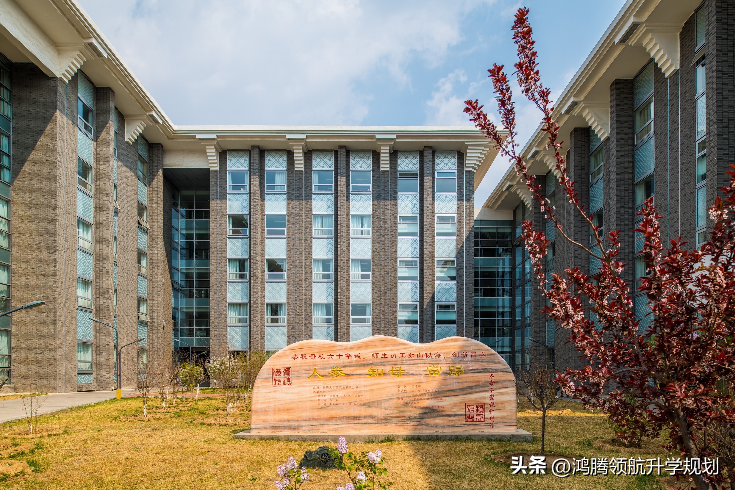 北京中医药大学2021专业录取分数,北京中医药大学本科二批录取线