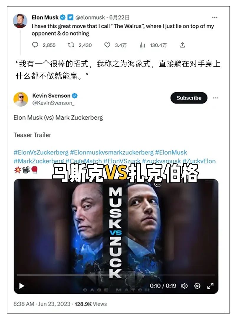 马斯克贴个征婚启事：“能陪我一起发疯就行！”