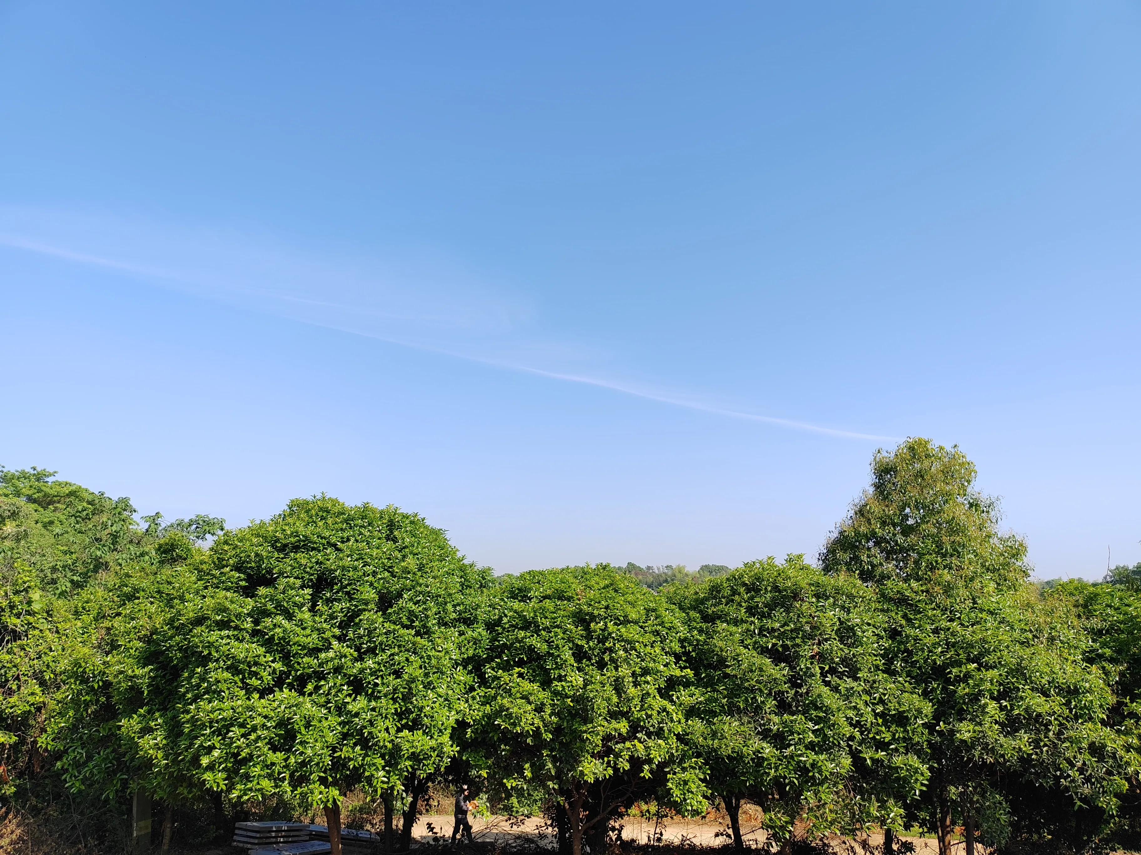 益阳刘公馆后人给先祖搬新家