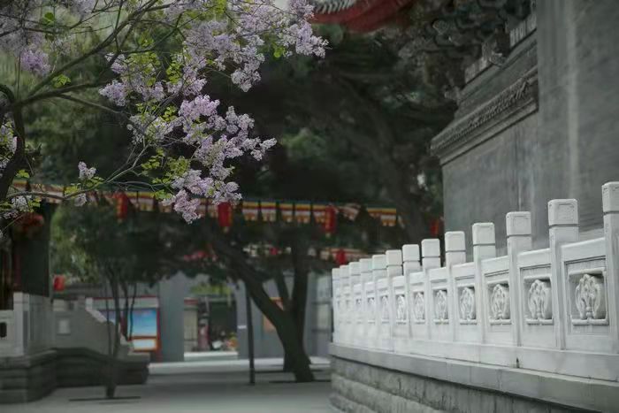 倓虚法师故事自述,倓虚法师出家时的心理路程