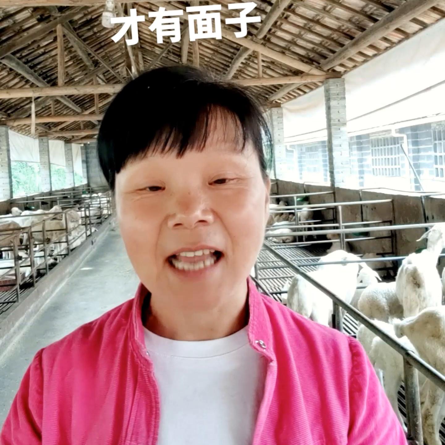 养殖种植人的苦逼生活,种植养殖人的心酸