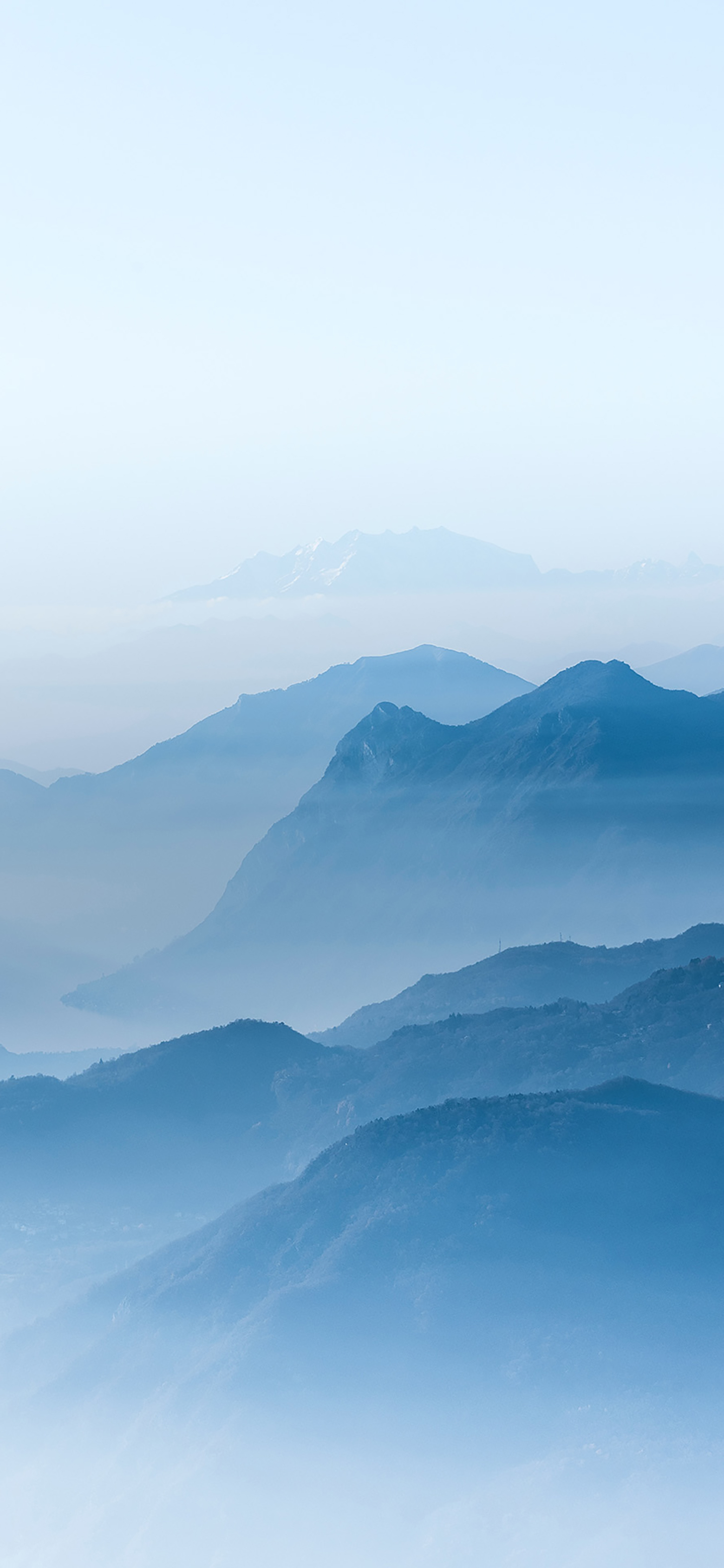 风景壁纸春,春天有百花秋有凉风冬有雪壁纸