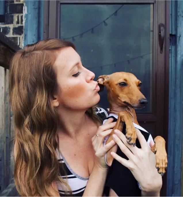 一只流浪狗被收留后成功的逆袭了,一只被遗弃狗狗的逆袭之路