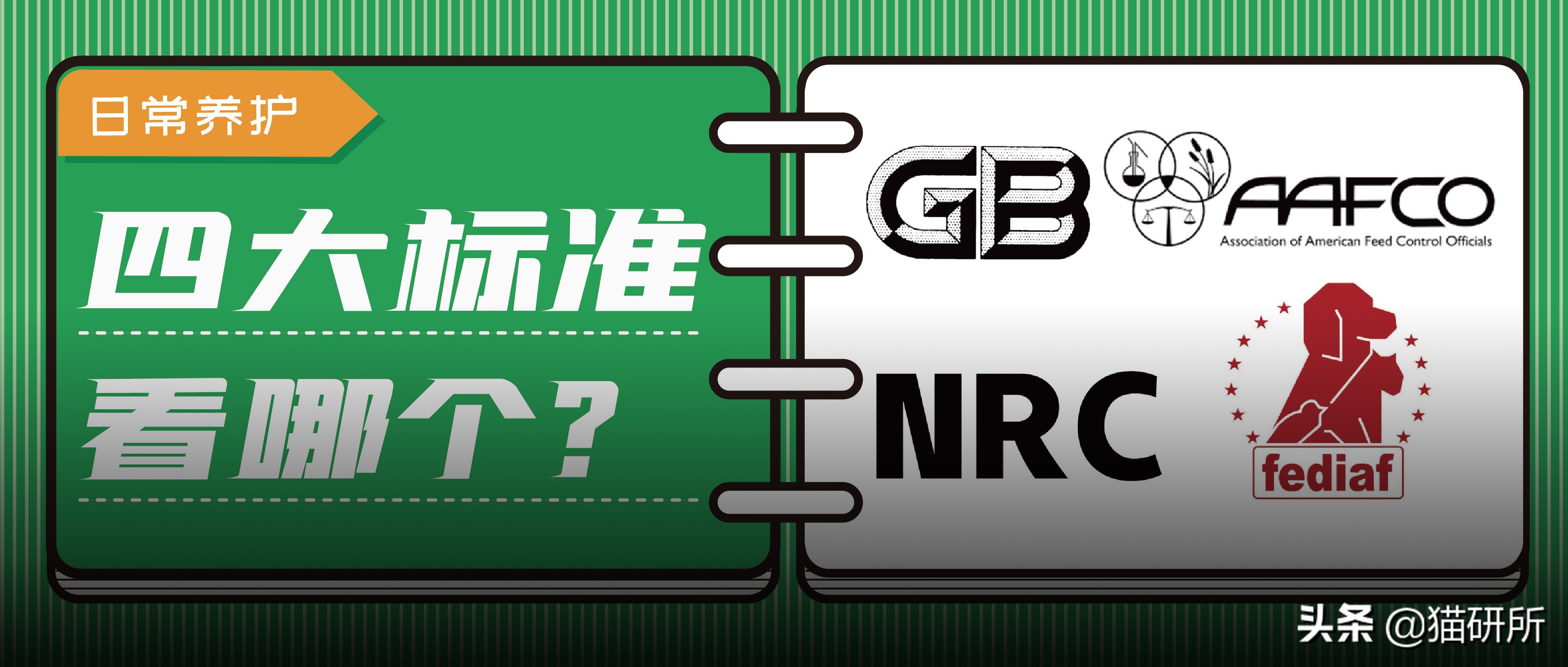 进口罐头猫粮怎么选,猫粮罐头怎么挑选