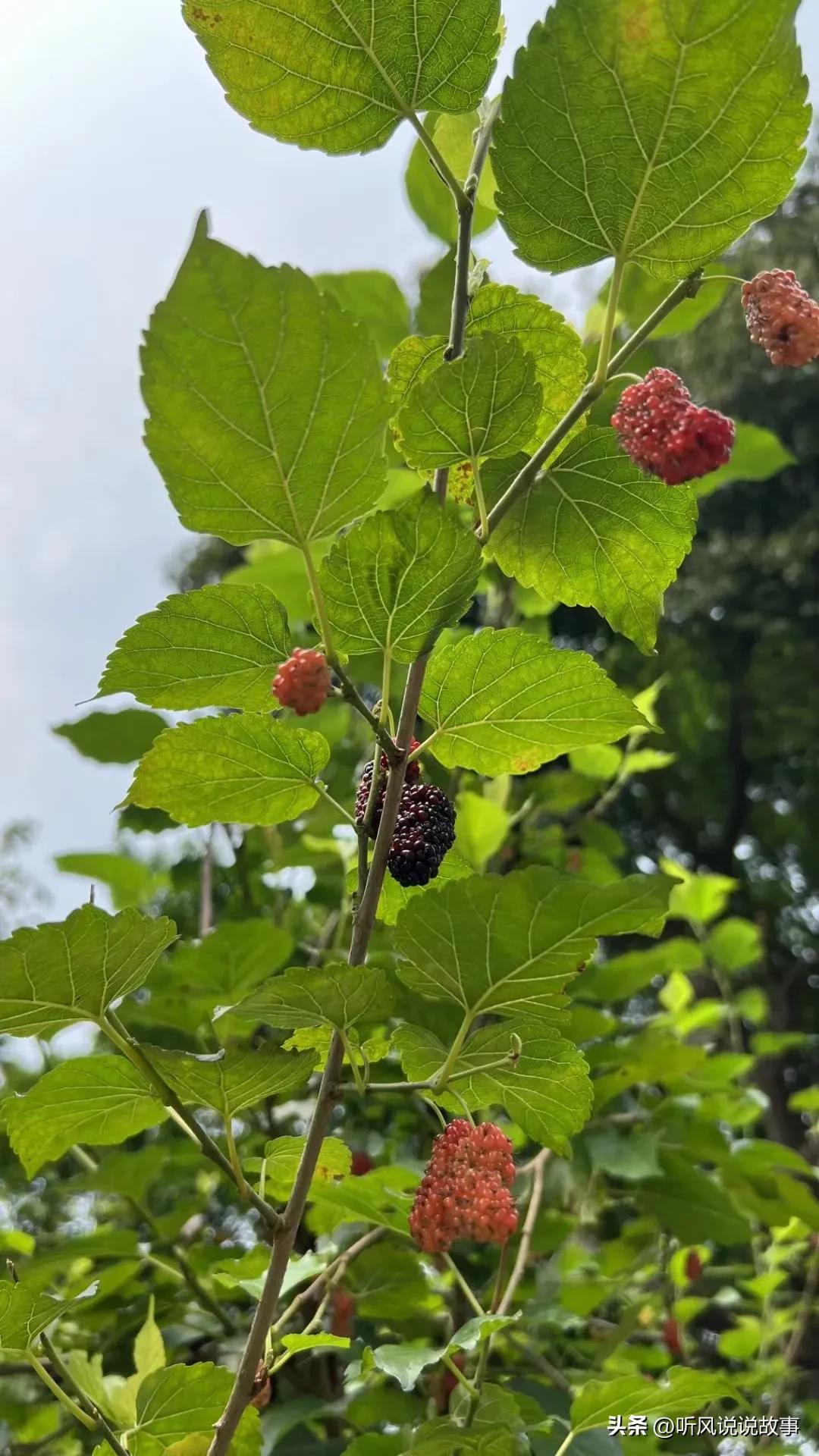 如何解决客户信赖感,培养客户忠诚的案例