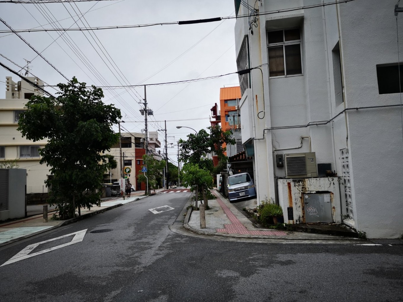 暑期档2019年,2019年暑期档