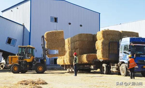 秸秆不能焚烧怎么办,秸秆焚烧问题怎么解决
