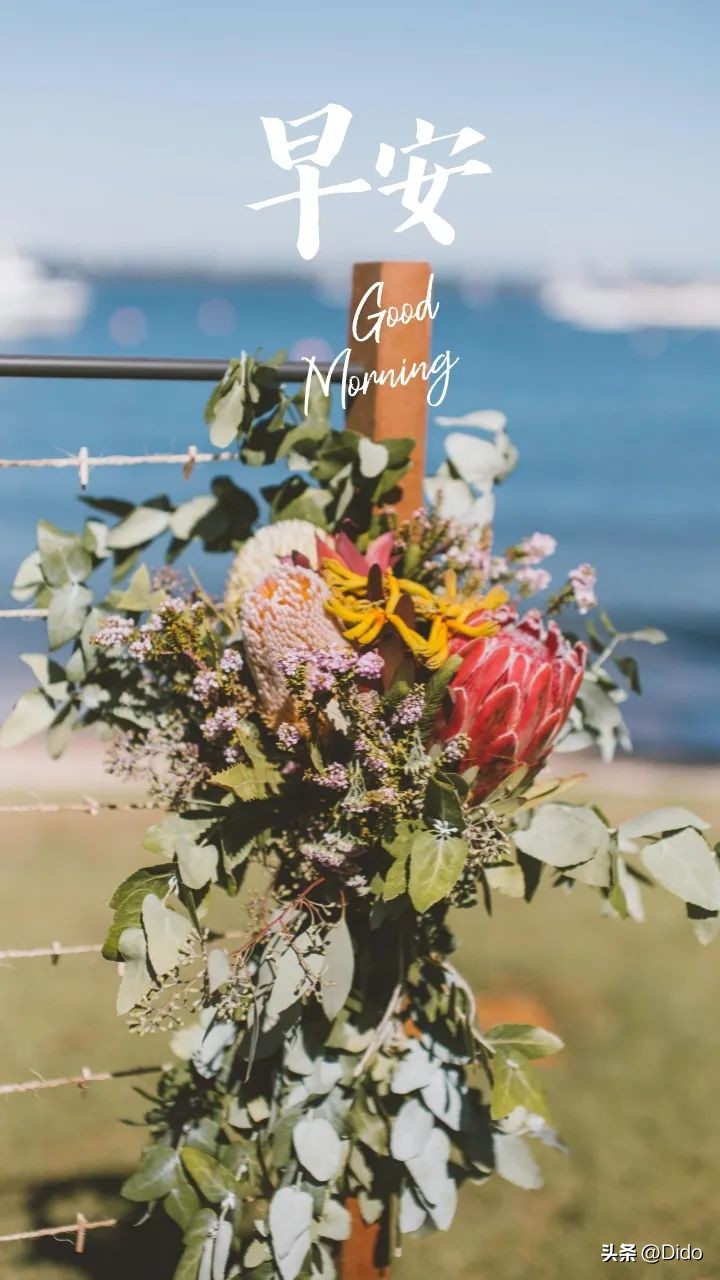 腊月末，小年至，愿我们发财，被爱，好运常在。早安心语最新