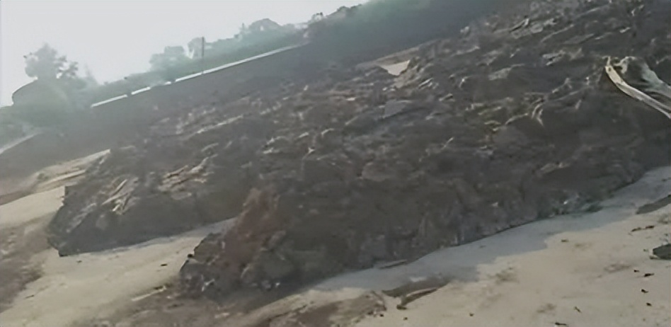 植物源有机肥的原料来源有哪些,有机肥的原料有哪些