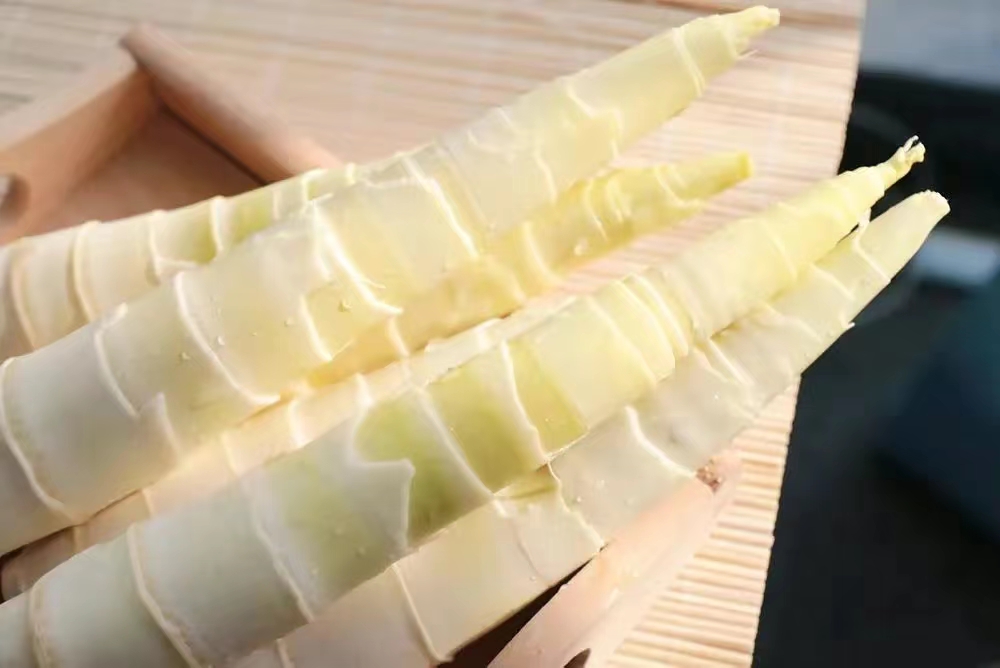 【原创】散文·江南春笋