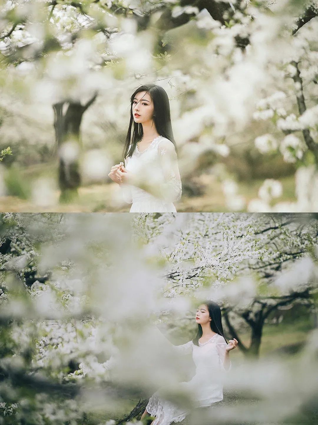 1.5h刹拢！被誉为川版“花城”，这个宝藏好耍地美得不像话