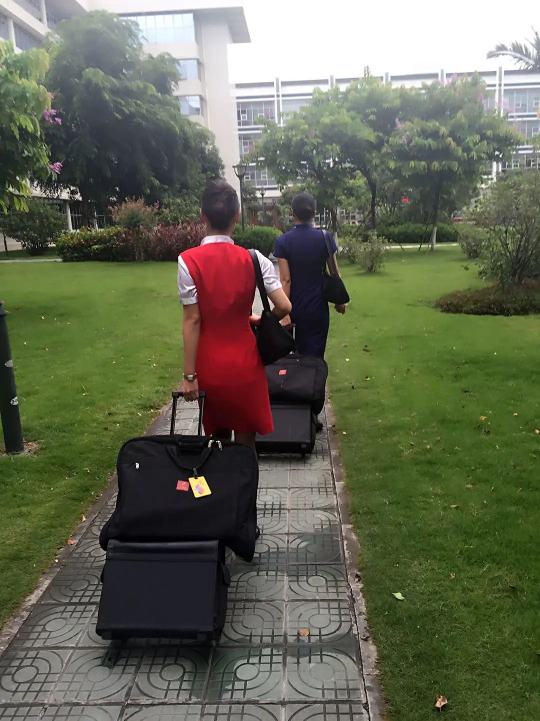 空姐做主播,空姐做博主收入