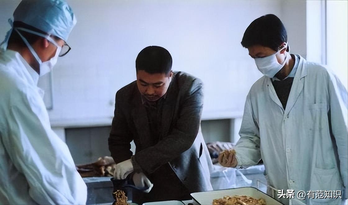 这次轮到51岁乌尔善翻车了?九尾狐“袒胸露乳”,观众直呼辣眼睛