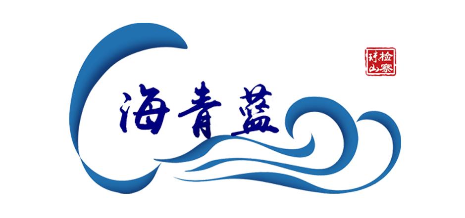 销售假冒伪劣产品知识产权案件,知识产权案售假