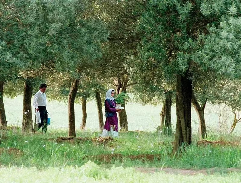 宅家电影推荐爱情片催泪,宅家情侣必看高分爱情电影