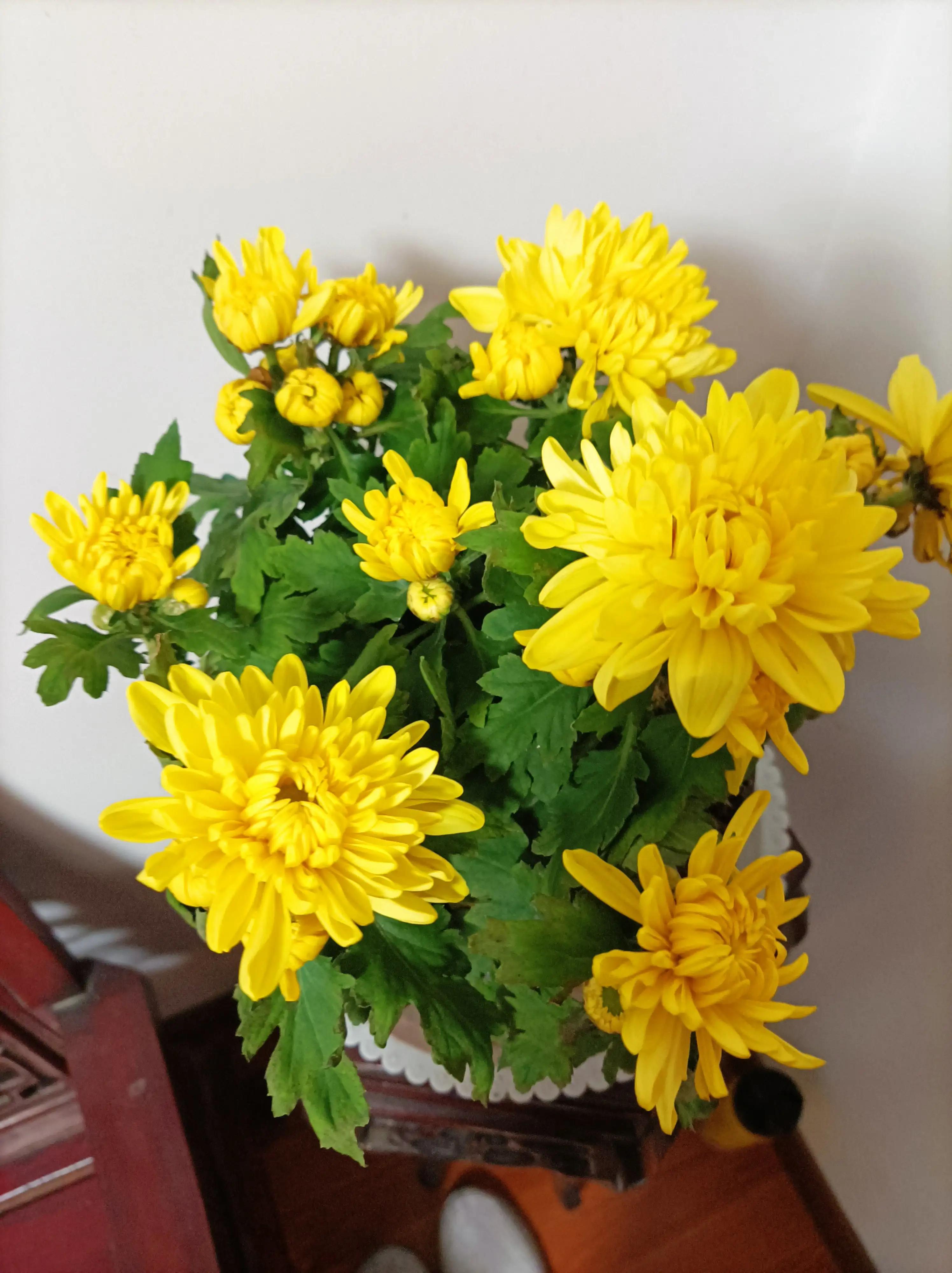 美年大健康体检时间,美年大健康体检优势