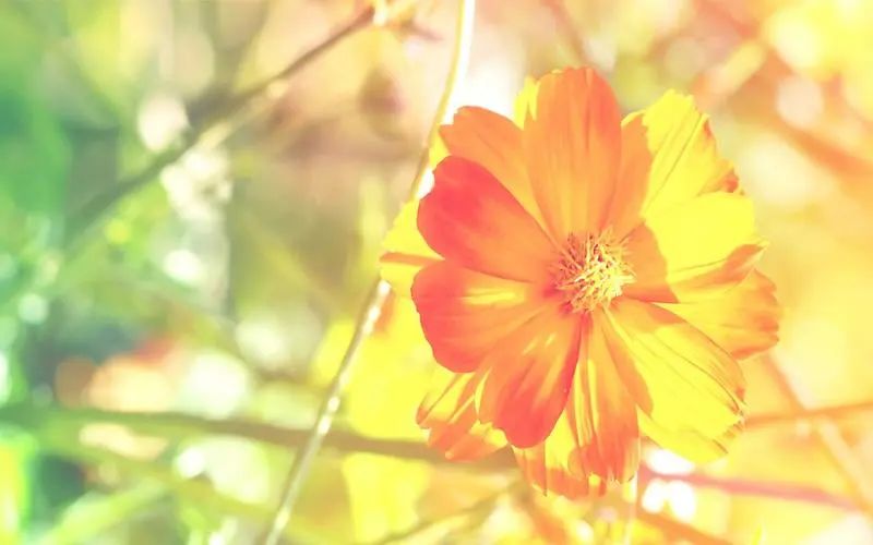 优美而有深度的句子,100条又短又好的好句子