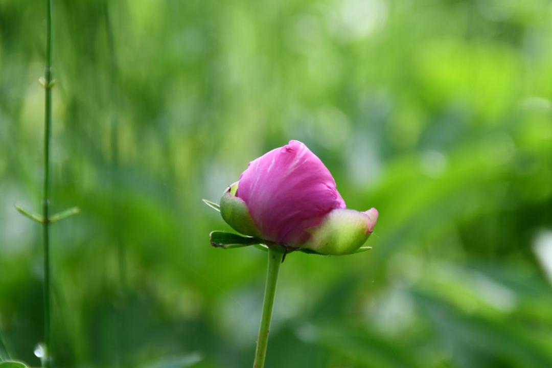 许昌人周末游玩,许昌人去哪景区免门票